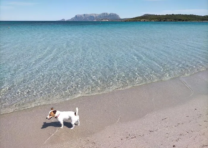 Vacanza Smeralda Olbia